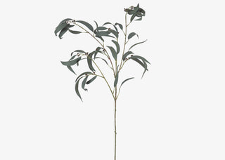 Gumnut Leaf Branch