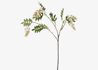 Wisteria Branch